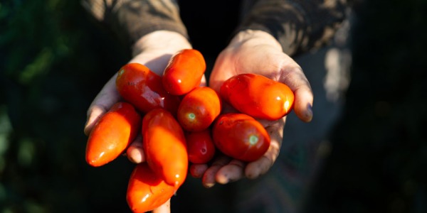 Ricetta con polpa di pomodoro Manfuso